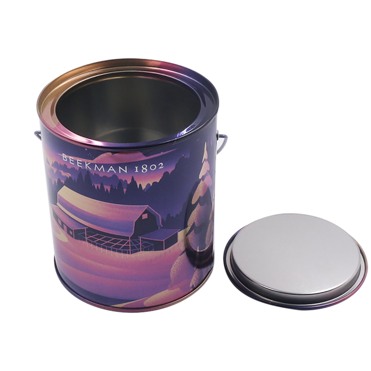 Tin Bucket With Handle