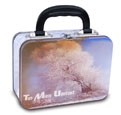 Lunch Tin & Handle Tins