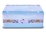 Packaging Tin Box